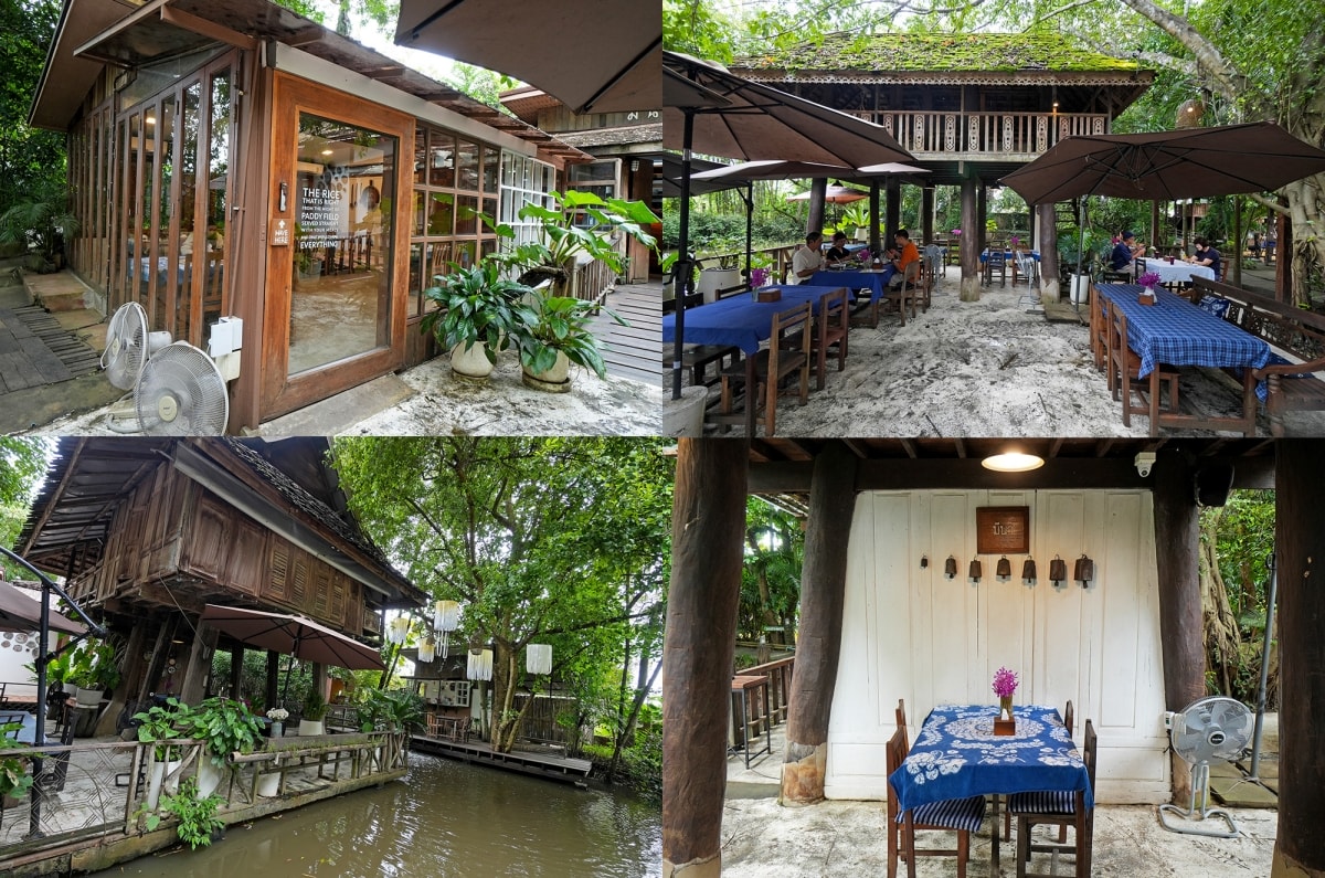 【清邁美食】Meena Rice Based Cuisine – 雨樹市集旁的米其林推薦餐廳,天然食材染色的五色米飯和米粉炸蝦是必點品項! - 第11張圖 【清邁美食】Meena Rice Based Cuisine – 雨樹市集旁的米其林推薦餐廳,天然食材染色的五色米飯和米粉炸蝦是必點品項!