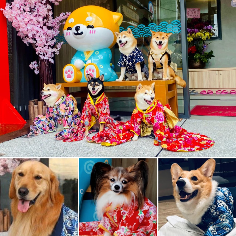 【宜蘭住宿推薦】海邊民宿 – 可愛度爆擊心臟的宜蘭壯圍特色民宿,距離沙灘只有2分鐘路程,附設的居酒屋料理美味又療癒~♪ - 第23張圖 【宜蘭住宿推薦】海邊民宿 – 可愛度爆擊心臟的宜蘭壯圍特色民宿,距離沙灘只有2分鐘路程,附設的居酒屋料理美味又療癒~♪