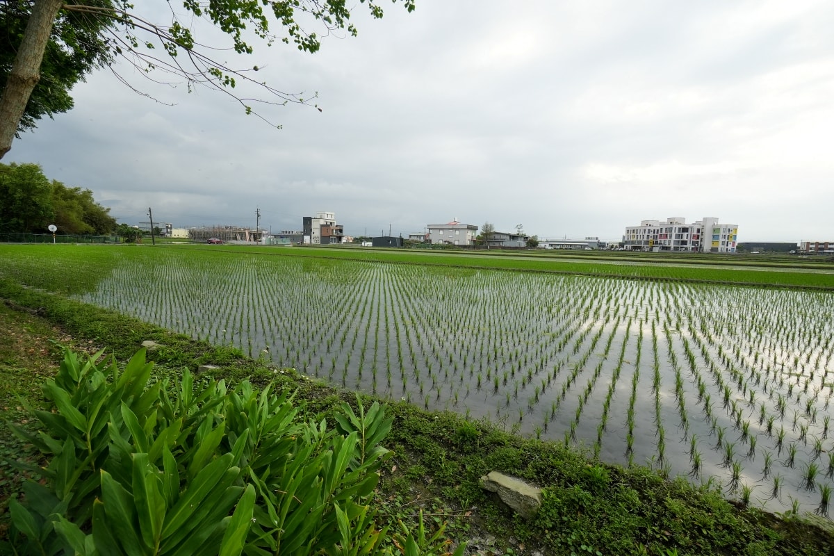 【宜蘭住宿推薦】輕塵別院 – 宜蘭五結鄉的高質感療癒系民宿，感受人文禪風的生活美學，隔天的超澎湃手作早餐也是一大亮點！