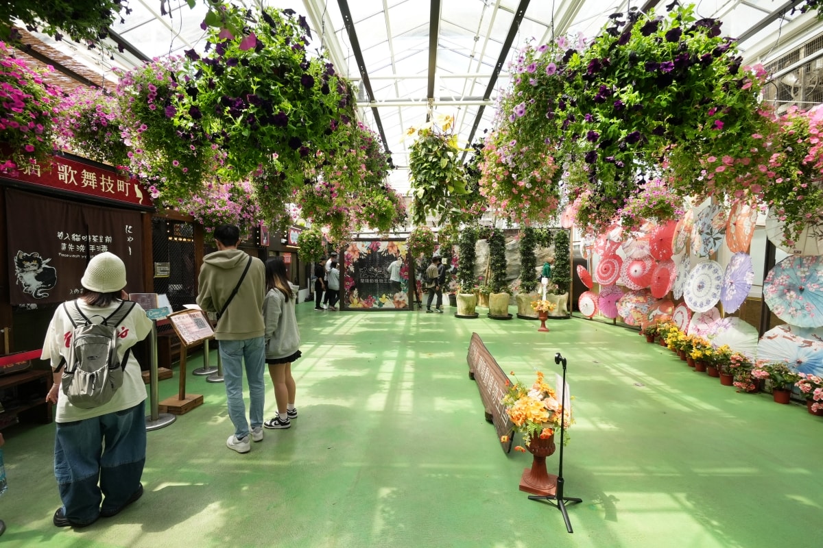 【宜蘭景點】蘭陽動植物王國 – 宜蘭近年來最夯的互動型動物農場!可跟水豚君、草泥馬、茶杯豬、袋鼠等可愛動物近距離互動,超級療癒 - 第13張圖 【宜蘭景點】蘭陽動植物王國 – 宜蘭近年來最夯的互動型動物農場!可跟水豚君、草泥馬、茶杯豬、袋鼠等可愛動物近距離互動,超級療癒