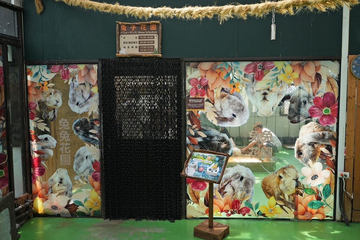【宜蘭景點】蘭陽動植物王國 – 宜蘭近年來最夯的互動型動物農場!可跟水豚君、草泥馬、茶杯豬、袋鼠等可愛動物近距離互動,超級療癒 - 第22張圖 【宜蘭景點】蘭陽動植物王國 – 宜蘭近年來最夯的互動型動物農場!可跟水豚君、草泥馬、茶杯豬、袋鼠等可愛動物近距離互動,超級療癒