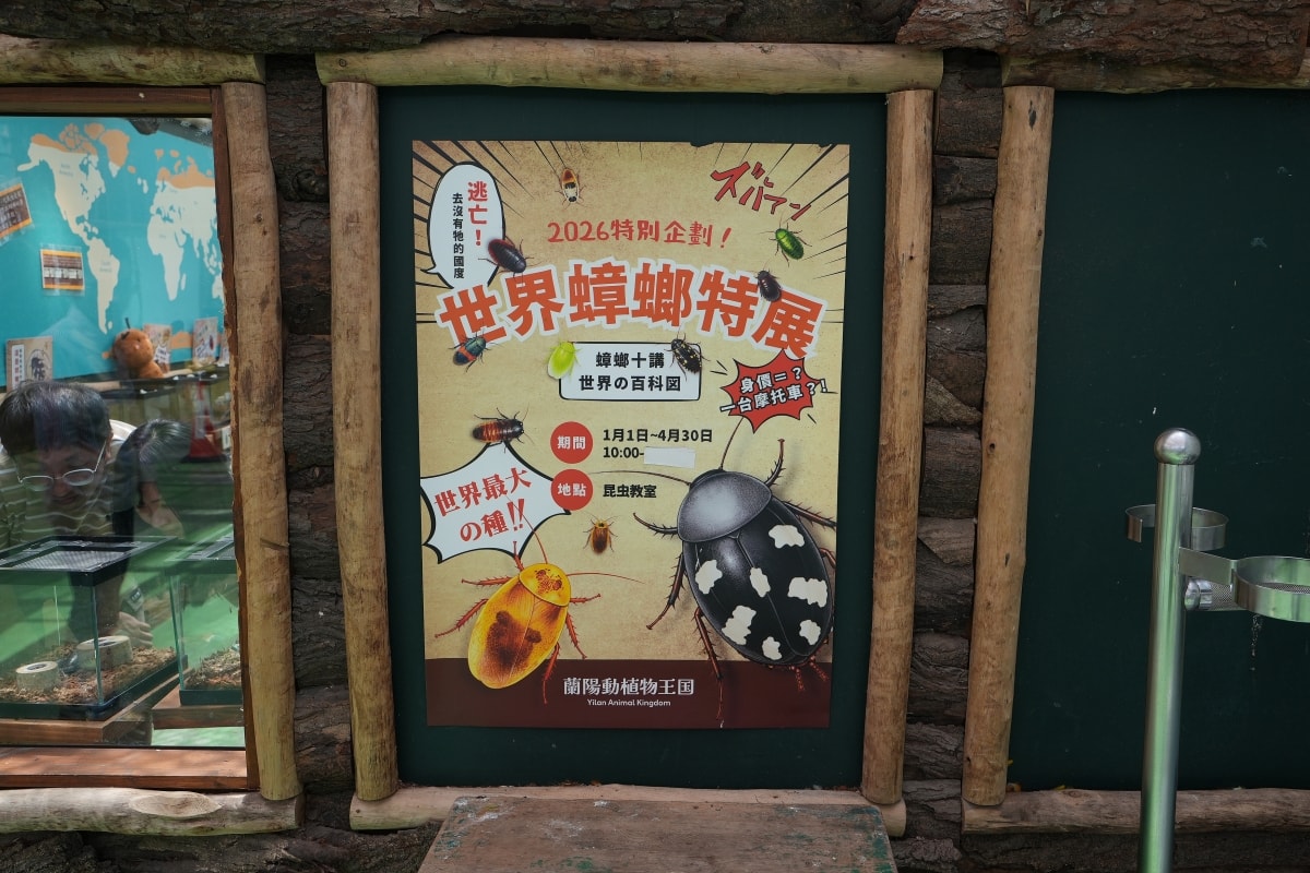 【宜蘭景點】蘭陽動植物王國 – 宜蘭近年來最夯的互動型動物農場!可跟水豚君、草泥馬、茶杯豬、袋鼠等可愛動物近距離互動,超級療癒 - 第25張圖 【宜蘭景點】蘭陽動植物王國 – 宜蘭近年來最夯的互動型動物農場!可跟水豚君、草泥馬、茶杯豬、袋鼠等可愛動物近距離互動,超級療癒