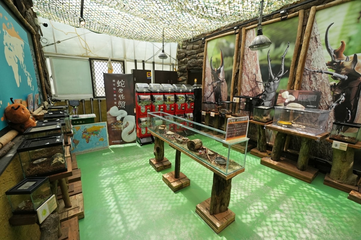 【宜蘭景點】蘭陽動植物王國 – 宜蘭近年來最夯的互動型動物農場!可跟水豚君、草泥馬、茶杯豬、袋鼠等可愛動物近距離互動,超級療癒 - 第26張圖 【宜蘭景點】蘭陽動植物王國 – 宜蘭近年來最夯的互動型動物農場!可跟水豚君、草泥馬、茶杯豬、袋鼠等可愛動物近距離互動,超級療癒