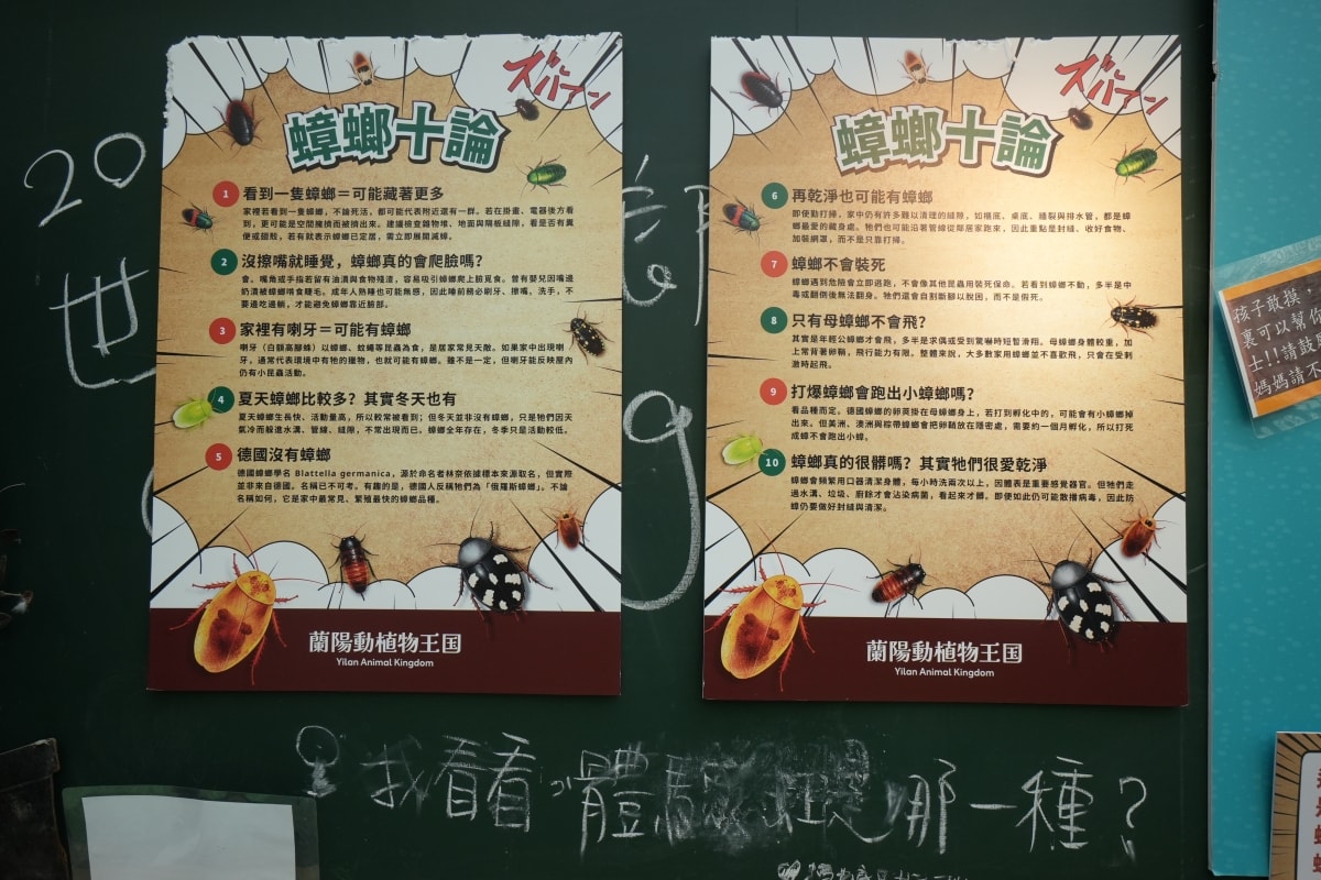 【宜蘭景點】蘭陽動植物王國 – 宜蘭近年來最夯的互動型動物農場!可跟水豚君、草泥馬、茶杯豬、袋鼠等可愛動物近距離互動,超級療癒 - 第28張圖 【宜蘭景點】蘭陽動植物王國 – 宜蘭近年來最夯的互動型動物農場!可跟水豚君、草泥馬、茶杯豬、袋鼠等可愛動物近距離互動,超級療癒