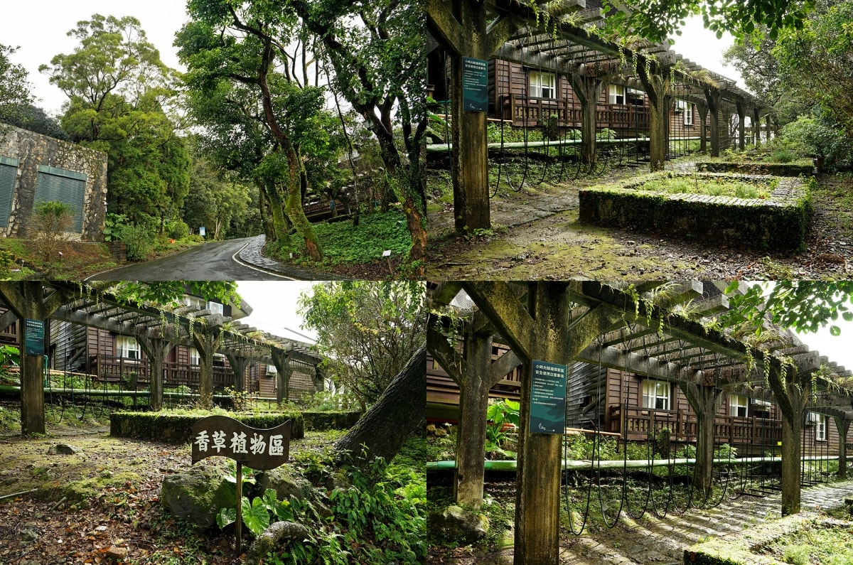 【陽明山住宿】陽明溫泉渡假村 – 被翠綠山林包圍的超療癒溫泉渡假園區，房內就有超大泡湯池，景觀餐廳的功夫好菜也讓人不得不愛！