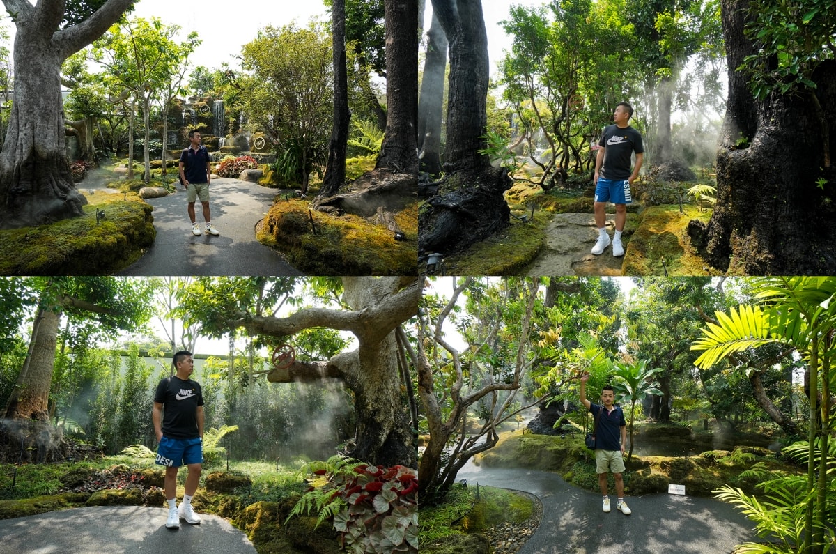 【華欣美食】Chom Cafe And Restaurant Hua Hin – 清邁超人氣熱帶雨林風餐廳在華欣也有分店!一樣造景很有秘境感,愛拍美照的朋友必訪喔~ - 第27張圖 【華欣美食】Chom Cafe And Restaurant Hua Hin – 清邁超人氣熱帶雨林風餐廳在華欣也有分店!一樣造景很有秘境感,愛拍美照的朋友必訪喔~