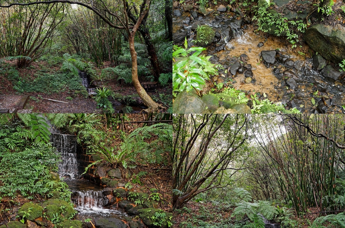 【陽明山住宿】陽明溫泉渡假村 – 被翠綠山林包圍的超療癒溫泉渡假園區，房內就有超大泡湯池，景觀餐廳的功夫好菜也讓人不得不愛！