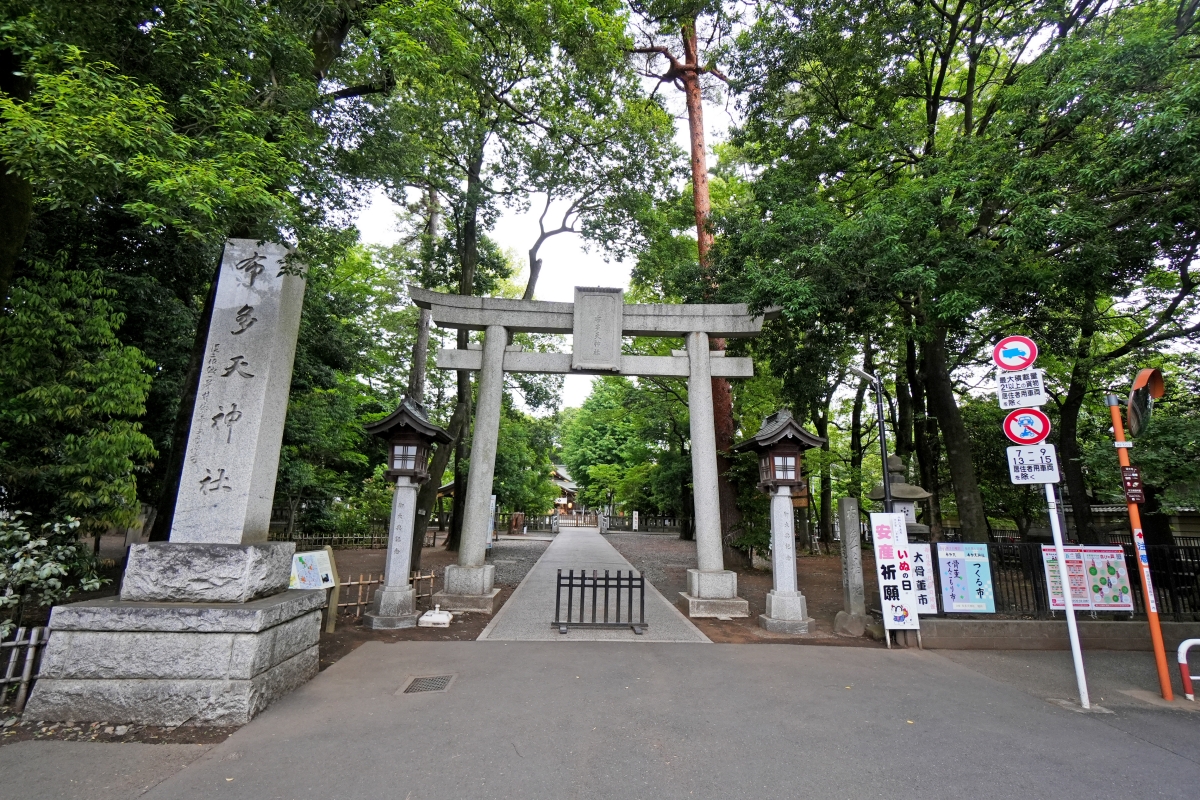 【東京自助行】搭捷星日本與Skyliner遊東京，6天5夜動漫吃貨宅圓夢之旅，詳細行程不藏私全公開！