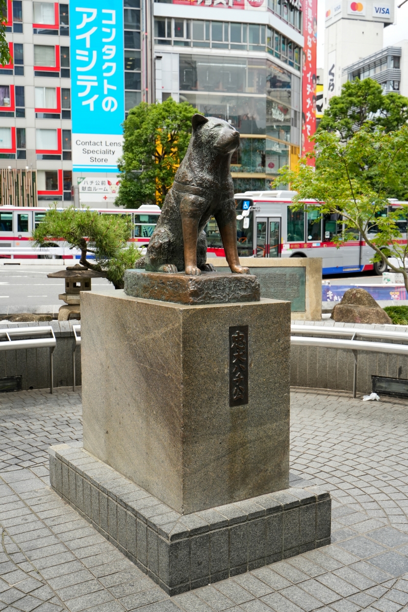 【東京自助行】搭捷星日本與Skyliner遊東京，6天5夜動漫吃貨宅圓夢之旅，詳細行程不藏私全公開！