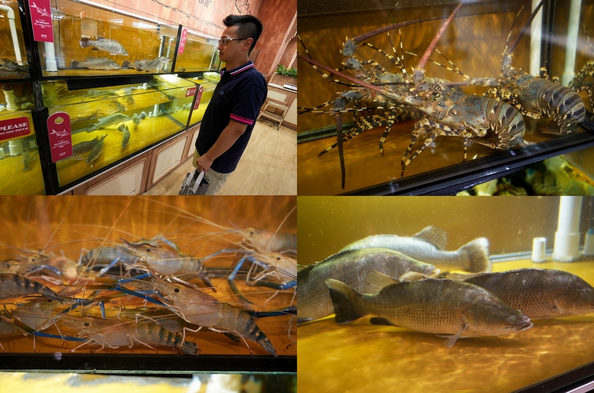 【曼谷美食】Savoey 上味泰 – 離奇隆站只有1分鐘路程的Mercury Ville分店,空間寬敞舒適,招牌黃咖哩炒蟹、冬蔭功等都讓人回味無窮! - 第4張圖 【曼谷美食】Savoey 上味泰 – 離奇隆站只有1分鐘路程的Mercury Ville分店,空間寬敞舒適,招牌黃咖哩炒蟹、冬蔭功等都讓人回味無窮!