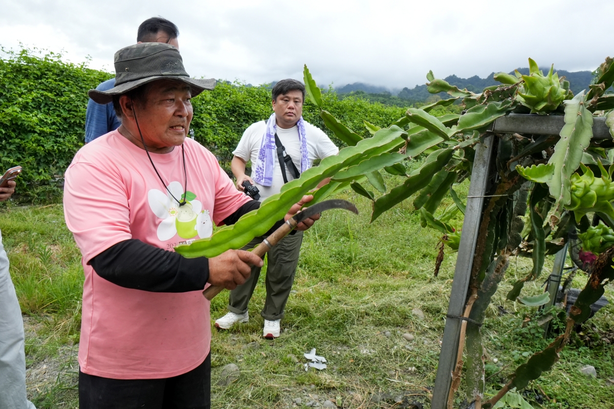 【花蓮復興鄉旅遊提案】前進「大進社區」瞭解花蓮百年糖業史並見學古法製糖,再到「富興社區」品嚐鳳梨大餐與體驗鳳梨酥DIY - 第30張圖 【花蓮復興鄉旅遊提案】前進「大進社區」瞭解花蓮百年糖業史並見學古法製糖,再到「富興社區」品嚐鳳梨大餐與體驗鳳梨酥DIY
