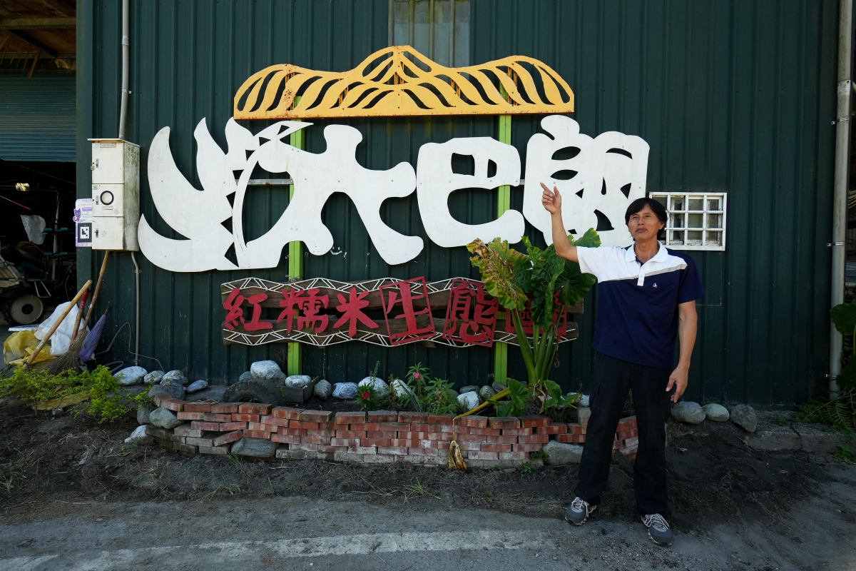 【花蓮復興鄉旅遊提案】探訪紅糯米的故鄉「太巴塱部落」,喝完特調的紅糯米奶茶再前往「砂荖部落」參加導覽與大啖風味餐 - 第2張圖 【花蓮復興鄉旅遊提案】探訪紅糯米的故鄉「太巴塱部落」,喝完特調的紅糯米奶茶再前往「砂荖部落」參加導覽與大啖風味餐