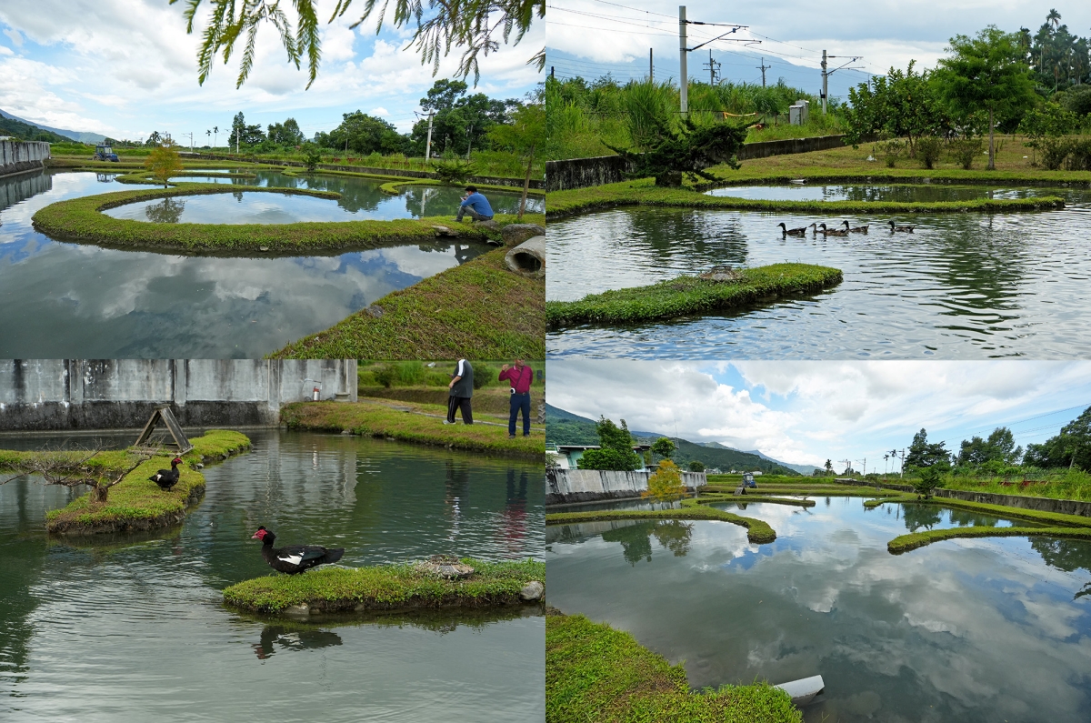 【花蓮復興鄉與瑞穗鄉旅遊提案】在「大豐社區」大啖各種手作的客家美食,下午在「富源社區」體驗創意電烙與拜訪有機農場 - 第33張圖 【花蓮復興鄉與瑞穗鄉旅遊提案】在「大豐社區」大啖各種手作的客家美食,下午在「富源社區」體驗創意電烙與拜訪有機農場