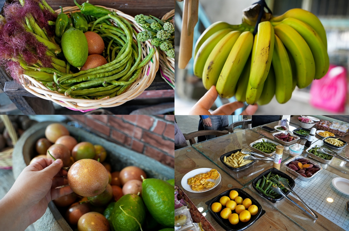 【花蓮復興鄉與瑞穗鄉旅遊提案】在「大豐社區」大啖各種手作的客家美食,下午在「富源社區」體驗創意電烙與拜訪有機農場 - 第34張圖 【花蓮復興鄉與瑞穗鄉旅遊提案】在「大豐社區」大啖各種手作的客家美食,下午在「富源社區」體驗創意電烙與拜訪有機農場